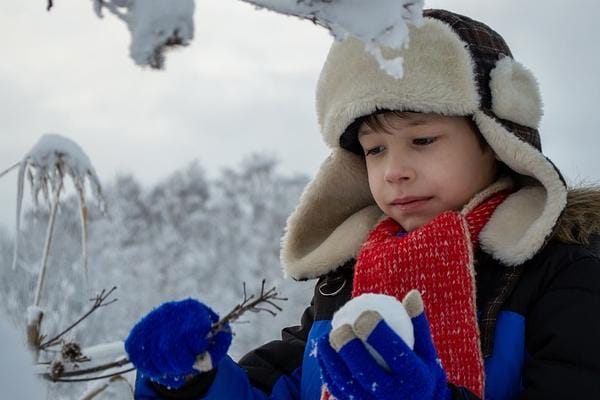 试管婴儿合法性