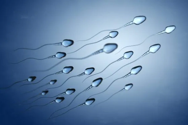 哈萨克斯坦代孕医生是如何挑选精子的?