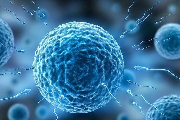 准父母精子、卵子质量检测