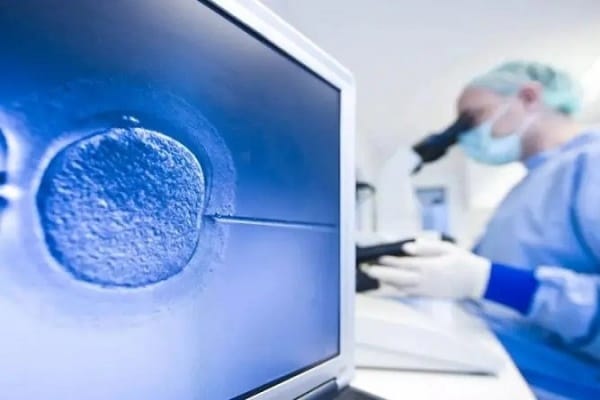 胚胎的发育需要一个稳定、适宜的环境