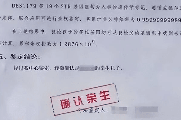 亲子鉴定报告