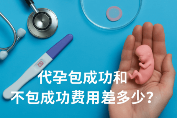代孕包成功和不包成功费用差多少